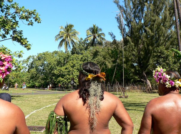 71- Pas bien grosse la coco vu des participants 